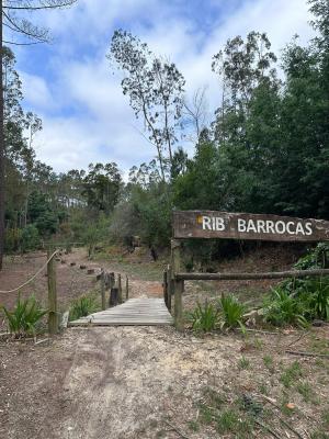 Rota da Ribeira das Barrocas